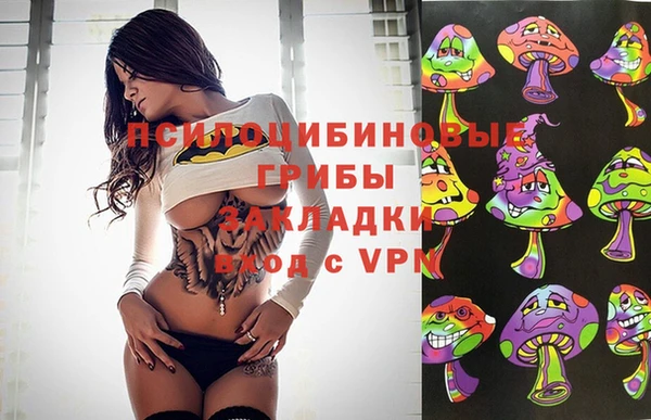 бутират Алексин