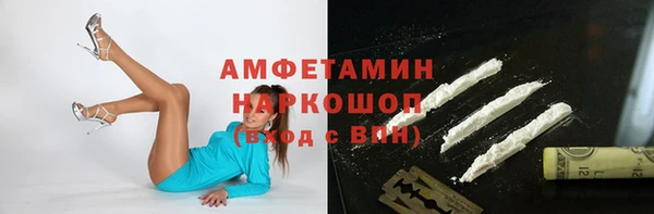 сатива Няндома