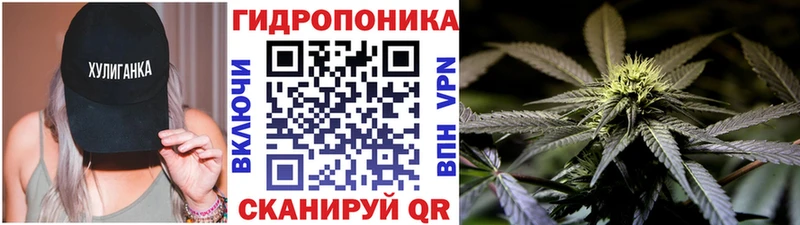 наркотики  Талдом  Марихуана OG Kush 